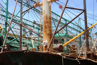 Thủ tướng chỉ đạo kiểm tra, làm rõ vụ tàu vỏ thép vừa đóng đã rỉ sét