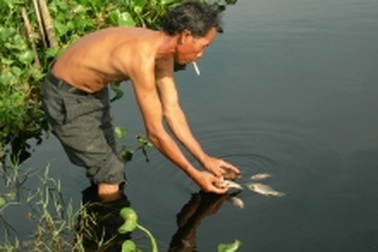 Cá chết, người lở loét vì nước ô nhiễm