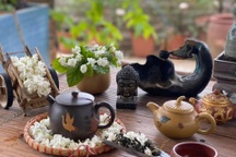 Những công dụng bất ngờ của trà hoa nhài