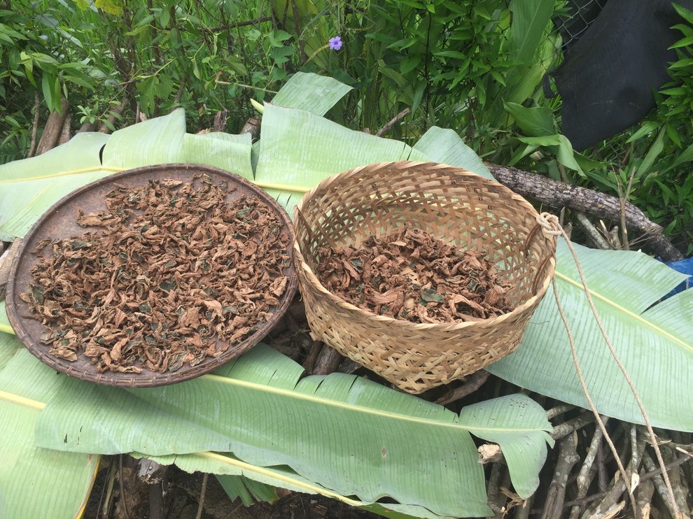 Độc đáo món bánh gai trong rằm tháng 7 của người Tày, Nùng ở Cao Bằng - 3 Độc đáo món bánh gai trong rằm tháng 7 của người Tày, Nùng ở Cao Bằng - 3