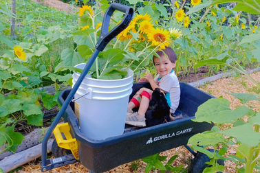 Khu vườn đặc biệt của người phụ nữ Việt lấy chồng thuộc bộ tộc kỳ lạ ở Mỹ