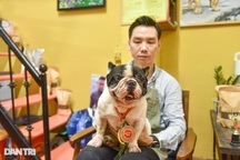 9x nuôi chó ngoại: Cho ăn cá hồi, thịt bò, bán giá trăm triệu đồng/con