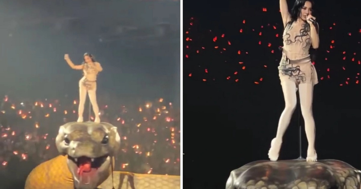 Video “nữ ca sĩ cưỡi trăn khổng lồ lên sân khấu” nổi bật tuần qua