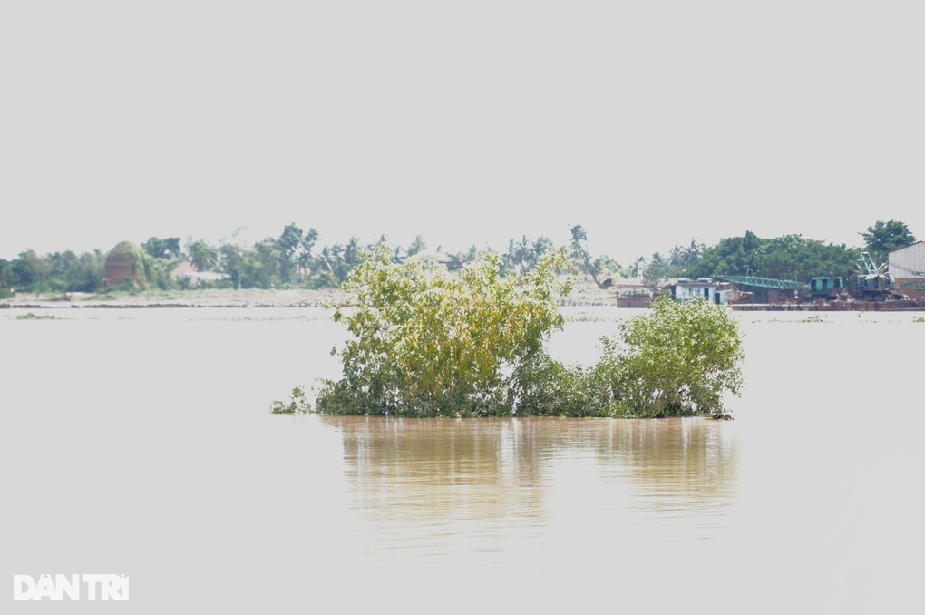 Những đêm thức trắng sợ vỡ đê của người dân trên cồn giữa sông Mekong - 4 Những đêm thức trắng sợ vỡ đê của người dân trên cồn giữa sông Mekong - 4