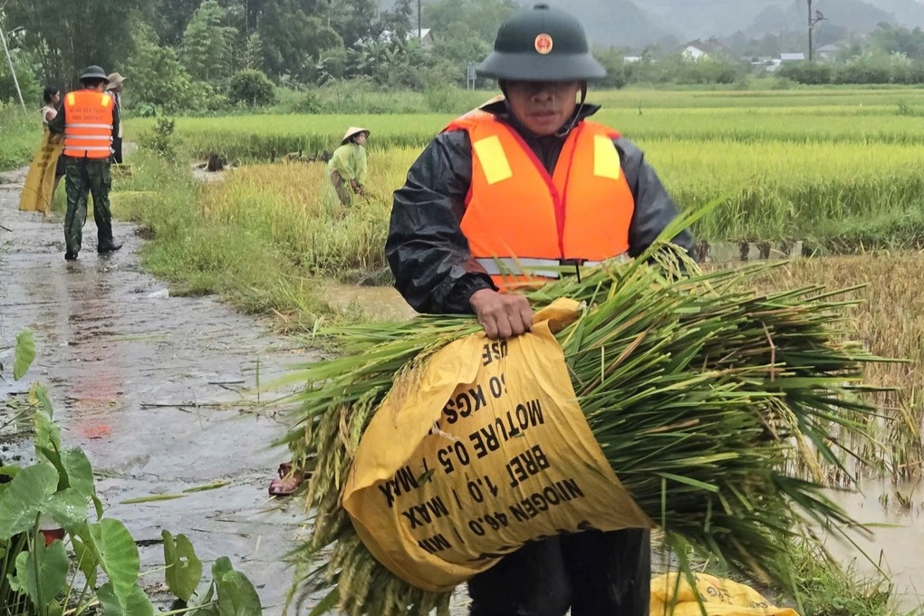 Lực lượng vũ trang căng sức hỗ trợ người dân ứng phó với bão Bualoi - 3 Lực lượng vũ trang căng sức hỗ trợ người dân ứng phó với bão Bualoi - 3