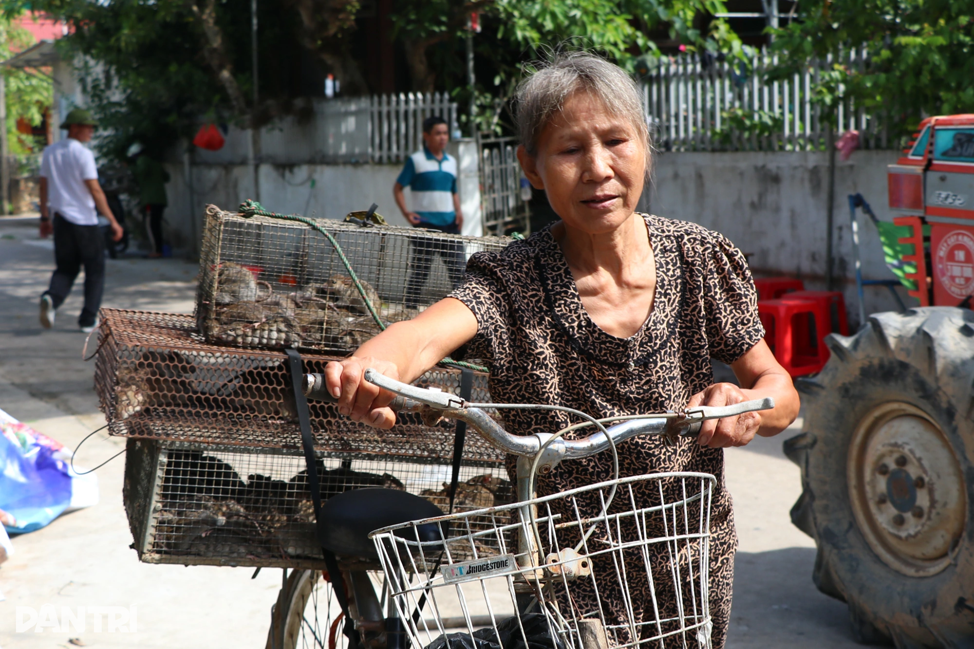 Gom bắt cả lồng chuột nhung nhúc, nông dân kiếm tiền triệu sau một đêm - 5 Gom bắt cả lồng chuột nhung nhúc, nông dân kiếm tiền triệu sau một đêm - 5