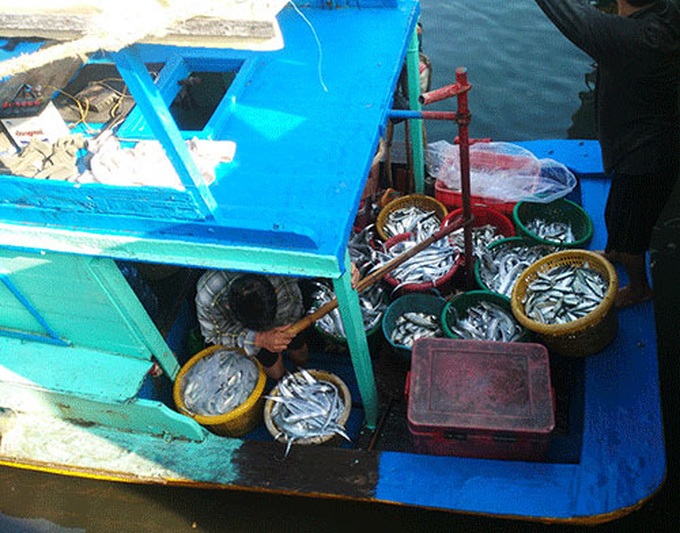 Lộc biển đầu năm của người dân xứ biển - Ảnh 1. Lộc biển đầu năm của người dân xứ biển - Ảnh 1.