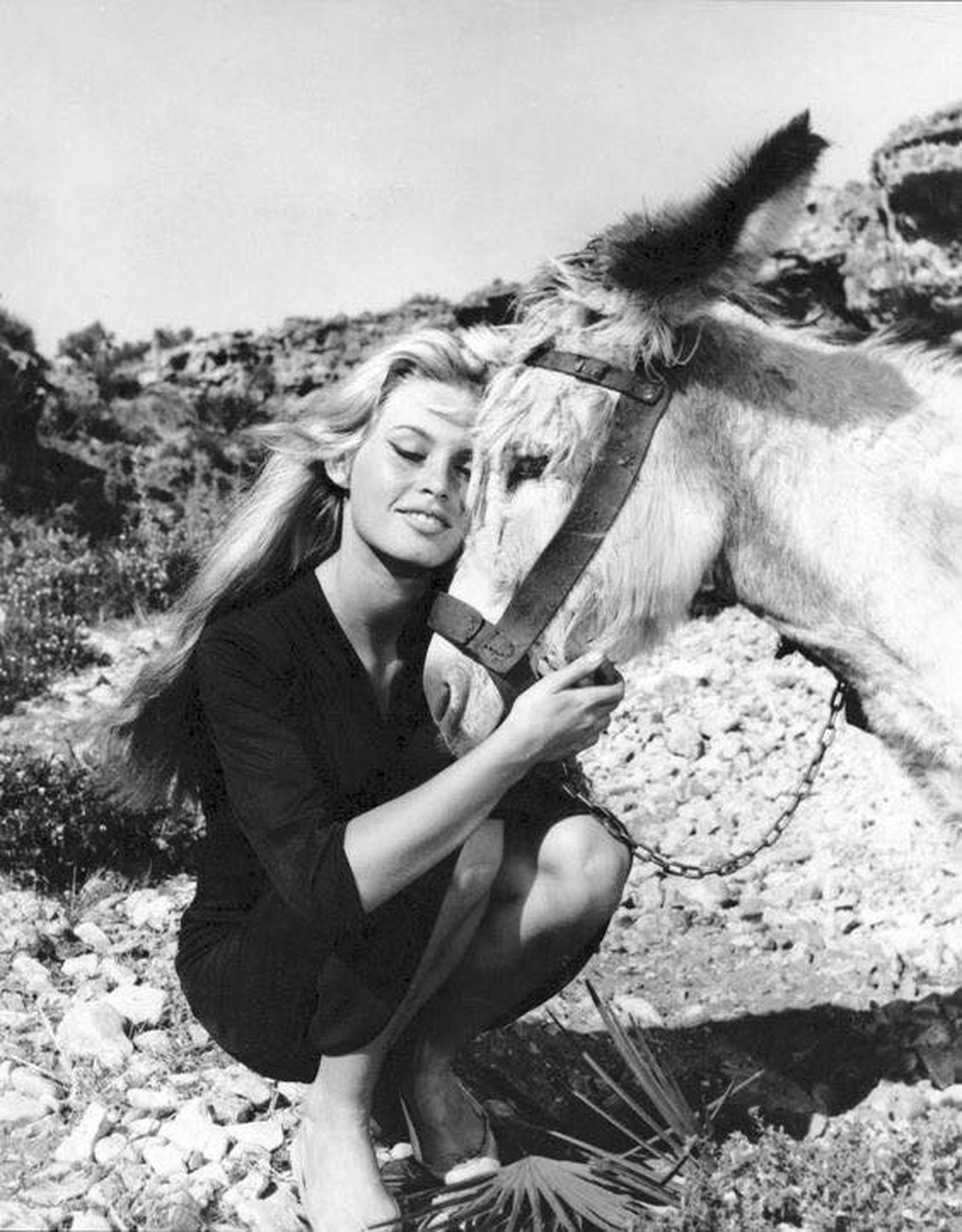 Brigitte Bardot để lại tài sản 65 triệu USD cho ai khi qua đời? - 2