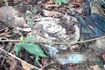 Phát hiện thi thể phân hủy, nhiều bộ phận trơ xương dưới chân đèo Bảo Lộc