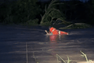 Dùng súng bắn dây giải cứu người dân bị nước lũ cô lập trong đêm