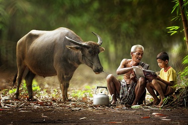 Hình ảnh thanh bình, gần gũi nơi vùng nông thôn Campuchia