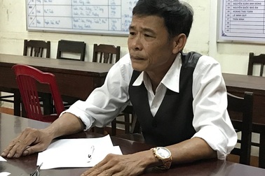 Tìm ra chủ mưu vụ gần 3.000m2 rừng thông bị chặt hạ