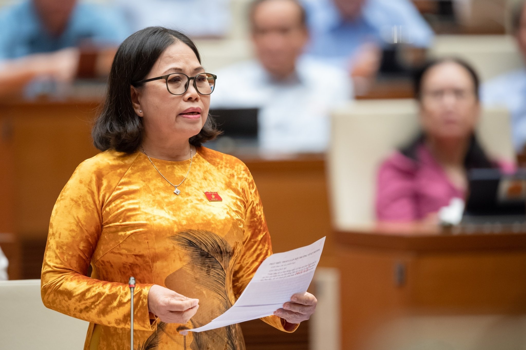 Delegater från nationalförsamlingen föreslår att bötfälla auktionsvinnare som överger sina insättningar - 1 Đại biểu Quốc hội đề xuất phạt tiền người trúng đấu giá bỏ cọc - 1