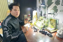 Chàng trai đem sự bình yên vào không gian sống bằng tiểu cảnh