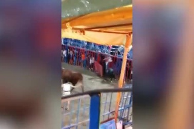 Cậu bé 12 tuổi may mắn sống sót sau cú rơi ngã ngay trước mũi sừng bò tót