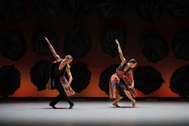 Vở ballet The Seasons: Những cung bậc giao hòa trọn vẹn giữa con người và thiên nhiên