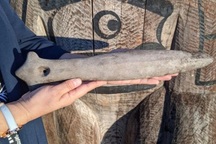 Dọn vườn, ngỡ ngàng thấy báu vật ngàn năm tự "hiện hình"