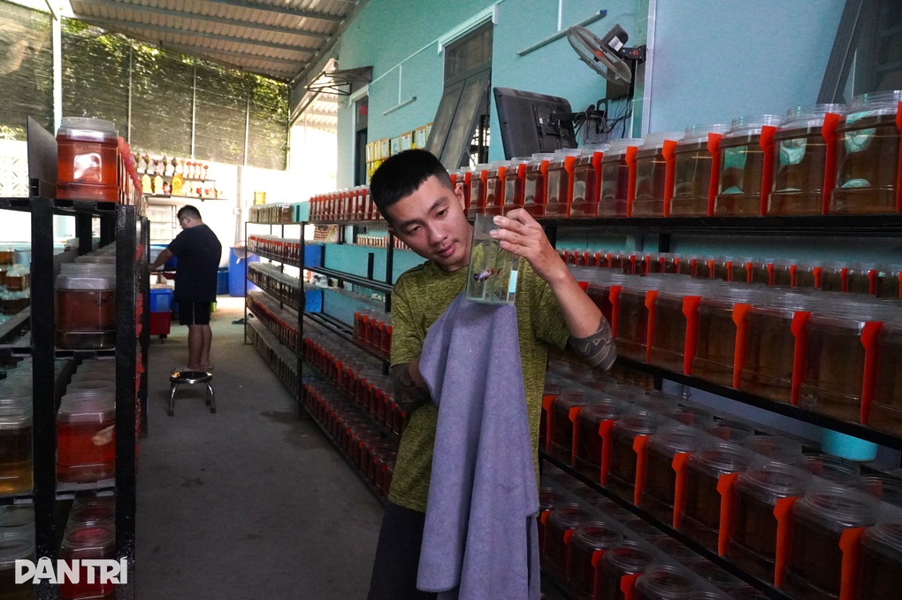 Chàng trai được nhà vợ dạy nghề, từ thất nghiệp thành ông chủ - 1 Chàng trai được nhà vợ dạy nghề, từ thất nghiệp thành ông chủ - 1