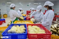 Nghịch lý sầu riêng người bán mỗi ký cả trăm nghìn, kẻ bán không ai mua