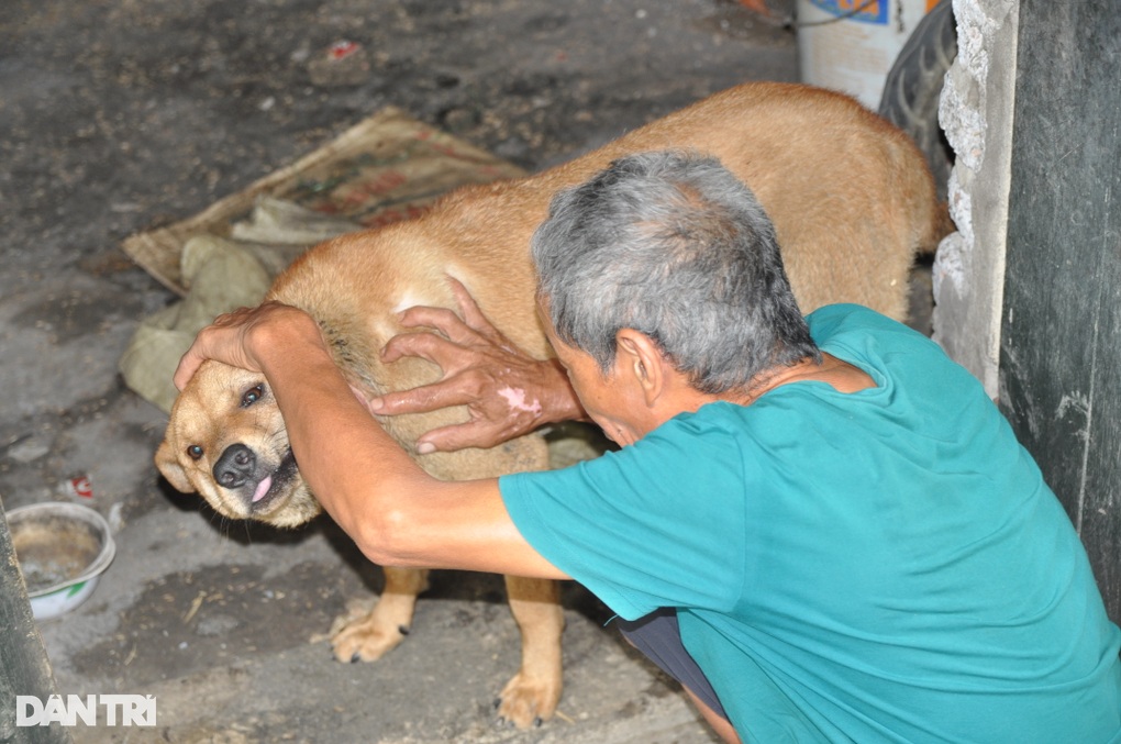 Xót thương cụ ông sống đơn độc trong đói nghèo ở Ninh Bình - 3 Xót thương cụ ông sống đơn độc trong đói nghèo ở Ninh Bình - 3