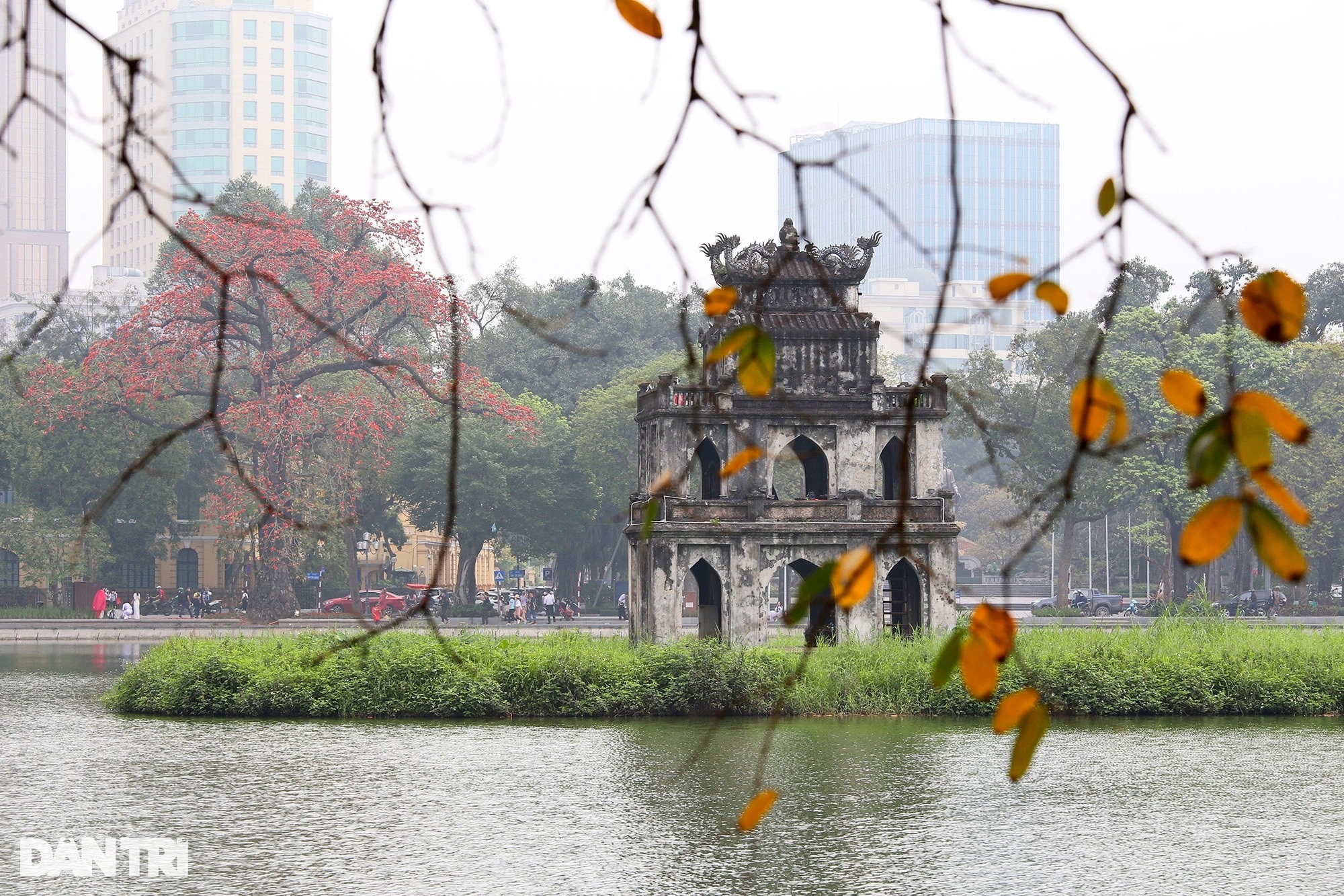 Đỏ rực từ nông thôn đến thành phố mùa hoa gạo tháng Ba ở Hà Nội - 12 Đỏ rực từ nông thôn đến thành phố mùa hoa gạo tháng Ba ở Hà Nội - 12