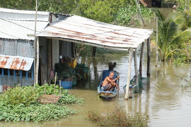 Người dân Tây Ninh chèo xuồng đi lại trong nhà