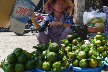 Nắng nóng, cam sành, dừa tươi tăng giá vùn vụt