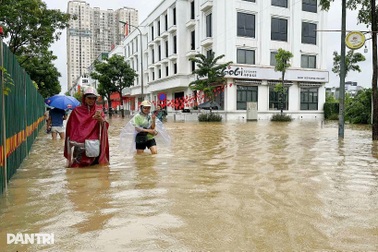 Sếp gọi báo nghỉ làm, nhân viên bật dậy, choáng vì quanh nhà là biển nước