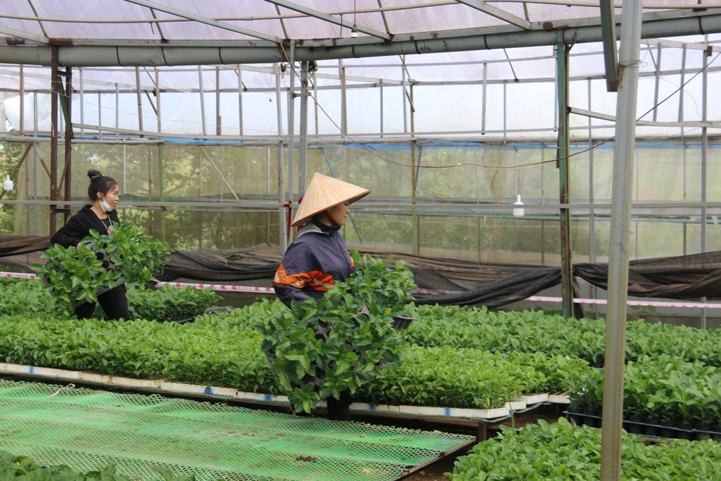 Dân tự nguyện tháo chạy khỏi đất dự án của vợ nguyên PGĐ Công an tỉnh - 3 Dân tự nguyện tháo chạy khỏi đất dự án của vợ nguyên PGĐ Công an tỉnh - 3