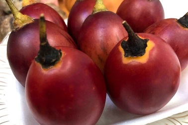 Cà chua lạ 300 ngàn đồng/kg: Chua như chanh leo, thơm mùi dứa