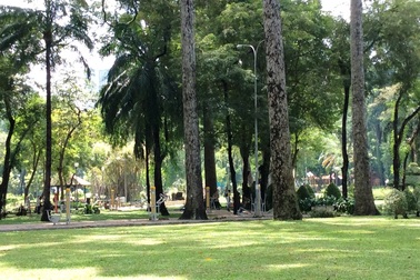 Đốn hạ, di dời 33 cây xanh trong công viên Tao Đàn để xây metro