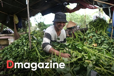 Chuyện chưa kể về những người miền Tây bỏ quê lên TPHCM làm nông dân