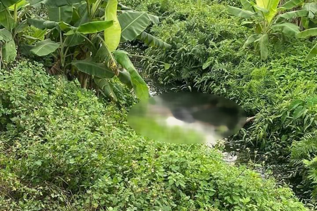 Tìm nguyên nhân tử vong của người đàn ông dưới mương nước - 1 Tìm nguyên nhân tử vong của người đàn ông dưới mương nước - 1