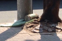 "Vật thể lạ" trên đường Lý Thường Kiệt không phải là vật liệu nổ