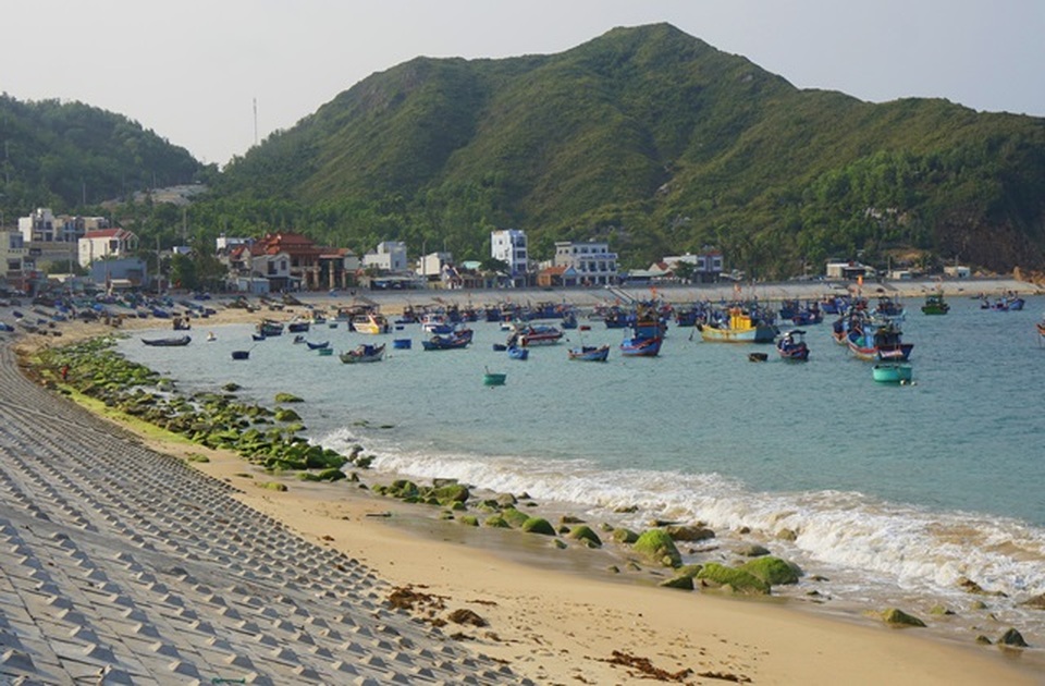 Làng chài đẹp như tranh vẽ làm du khách mê mẩn ở Bình Định - 11 Làng chài đẹp như tranh vẽ làm du khách mê mẩn ở Bình Định - 11