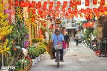 TPHCM nắng ấm dịp Tết Ất Tỵ