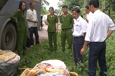 Phát hiện hơn 200kg thịt lợn thối trên xe khách