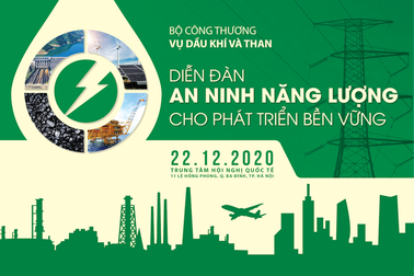 Diễn đàn An ninh năng lượng cho phát triển bền vững