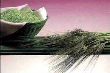 Yến mạch có thể cải thiện chức năng tình dục