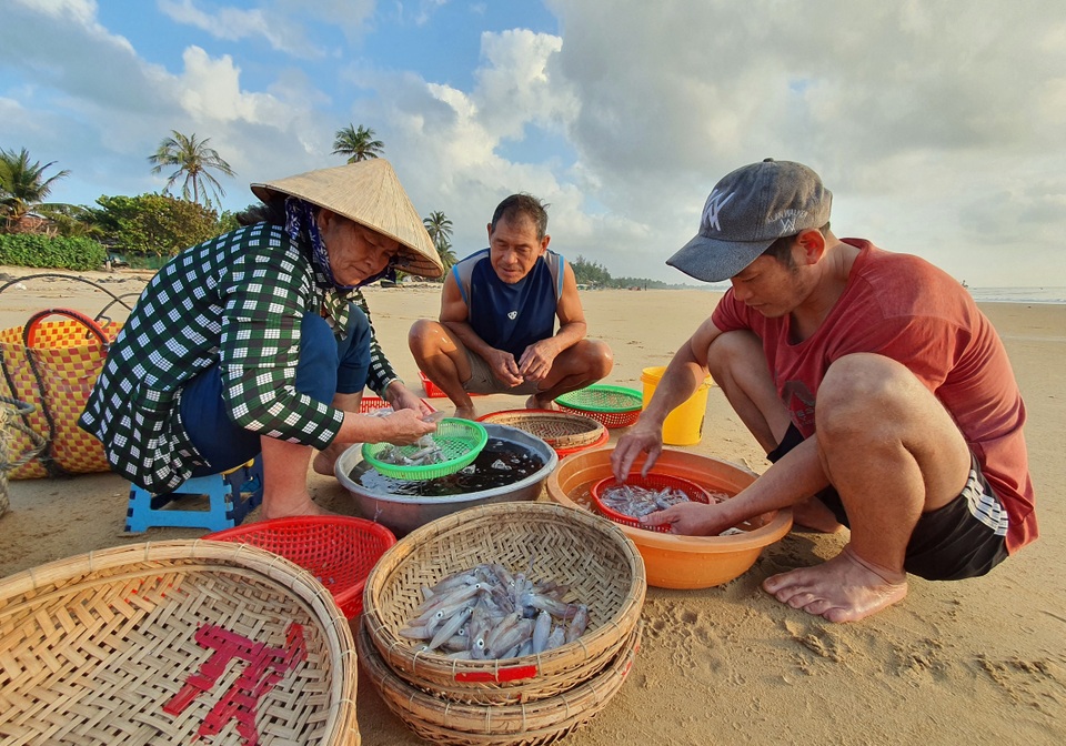 Phú Yên: Tất bật mưu sinh trong buổi sáng sớm ở làng chài ven biển - 4 Phú Yên: Tất bật mưu sinh trong buổi sáng sớm ở làng chài ven biển - 4