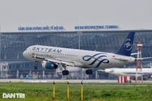 Cục Hàng không chỉ đạo khẩn vụ khỉ xuất hiện ở sân bay Nội Bài