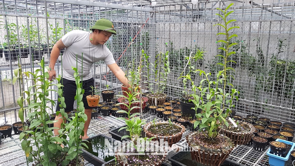 Vùng đất nhà nhà trồng lan, có gần như đủ mặt hoa lan đột biến - 1 Vùng đất nhà nhà trồng lan, có gần như đủ mặt hoa lan đột biến - 1