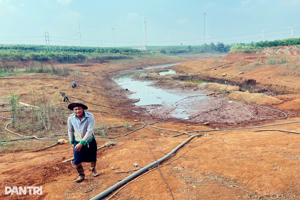 Ao hồ trơ đáy, cây trồng khát nước, nguy cơ mất trắng - 1