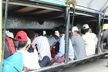 Bộ Giao thông bất lực với nạn xe “nhồi” khách