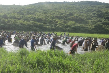 Hàng trăm người cùng dầm mình dưới nước kiếm cá "may"
