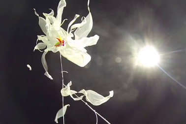 Ở độ cao hàng chục kilômét, bóng bay dự báo thời tiết sẽ nổ thế nào?