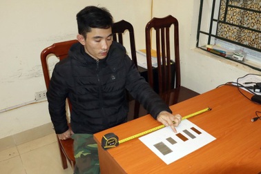 Bạo hành tàn độc liên quan "bố hờ, mẹ kế", chuyên gia tội phạm nói gì?