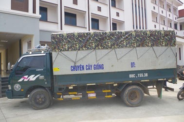 Tài xế ô tô tải gây tai nạn chết người rồi lái xe rời khỏi hiện trường