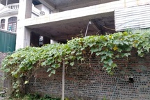 Bộ Tư pháp phát hiện sai phạm khó tin trong đấu giá tài sản ở Hà Nội