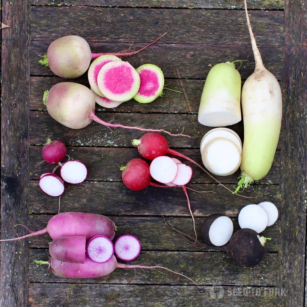 Vợ chồng đưa con ra ngoại thành làm vườn 500m2 quy hoạch ấn tượng - 8